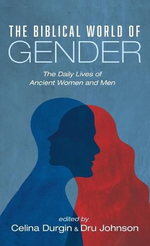 Cover image for The Biblical World of Gender: The Daily Lives of Ancient Women and Men