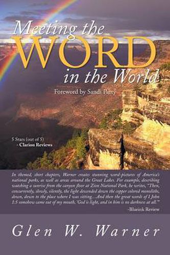 Cover image for Meeting the Word in the World