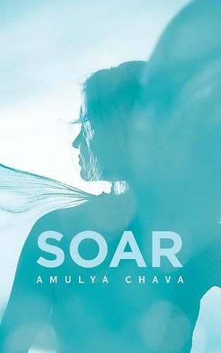 Cover image for Soar