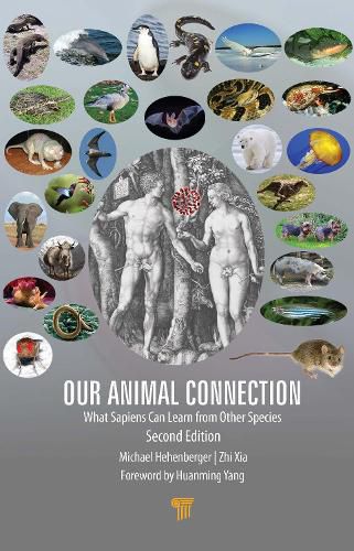 Cover image for Our Animal Connection: What Sapiens Can Learn from Other Species