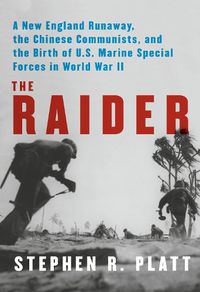 Cover image for The Raider