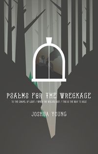 Cover image for Psalms for the Wreckage