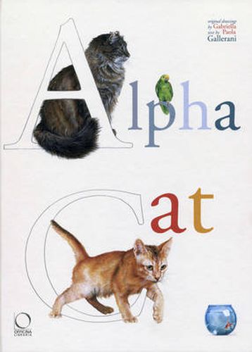 Cover image for Alpha Cat