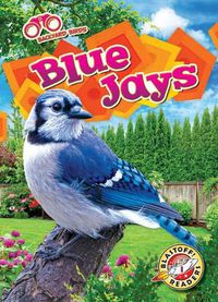 Cover image for Blue Jays