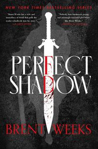 Cover image for Perfect Shadow