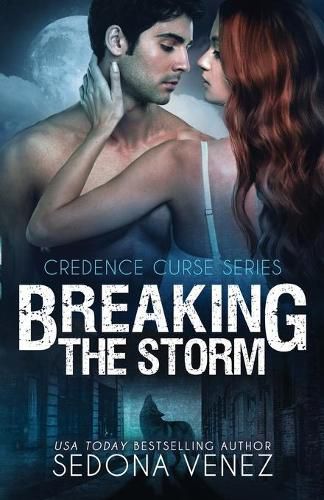 Cover image for Breaking the Storm