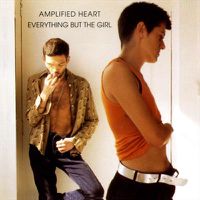 Cover image for Amplified Heart 25th Anniversary Edition *** Vinyl