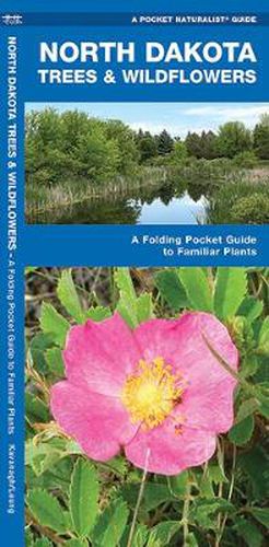 Cover image for North Dakota Trees & Wildflowers: A Folding Pocket Guide to Familiar Species