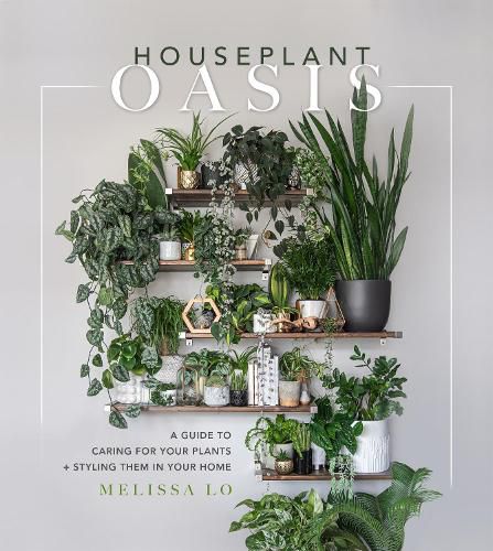 Cover image for Houseplant Oasis: A Guide to Caring for Your Plants + Styling Them in Your Home