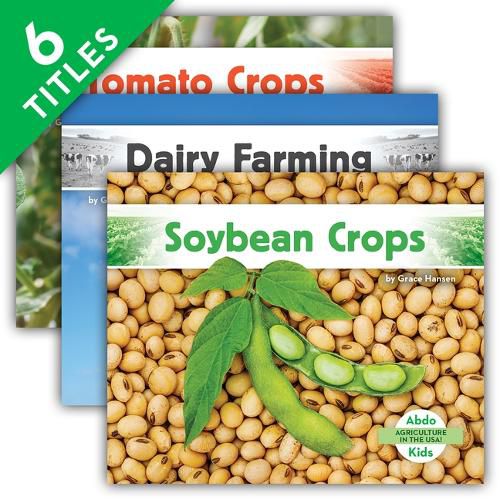 Cover image for Agriculture in the Usa! (Set)