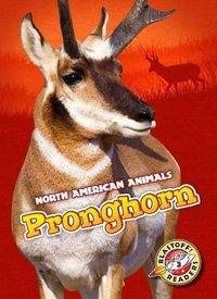 Cover image for Pronghorn