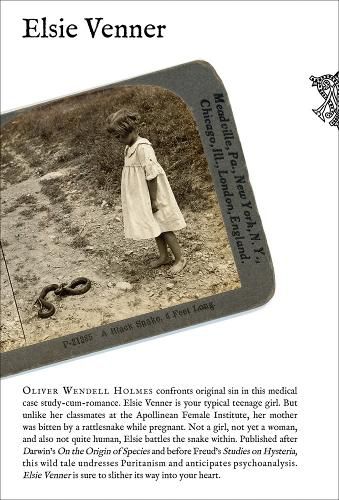 Cover image for Elsie Venner