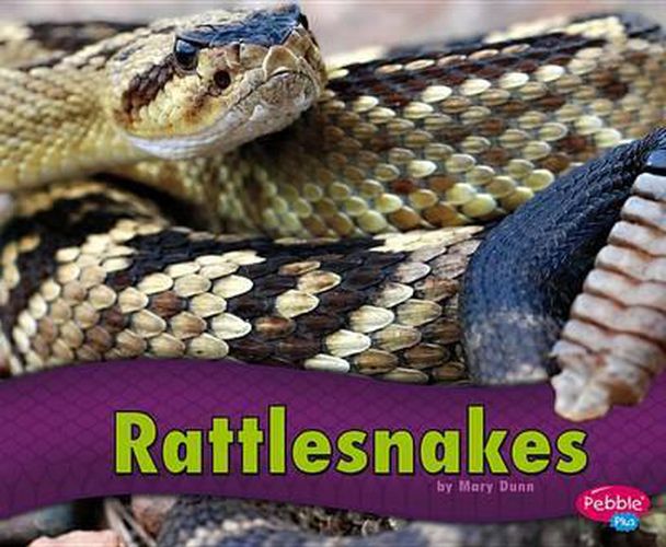 Rattlesnakes