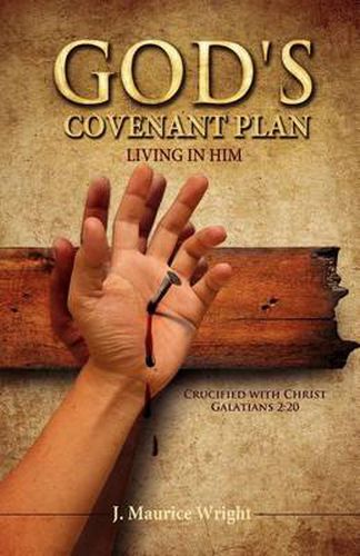 Cover image for God's Covenant Plan