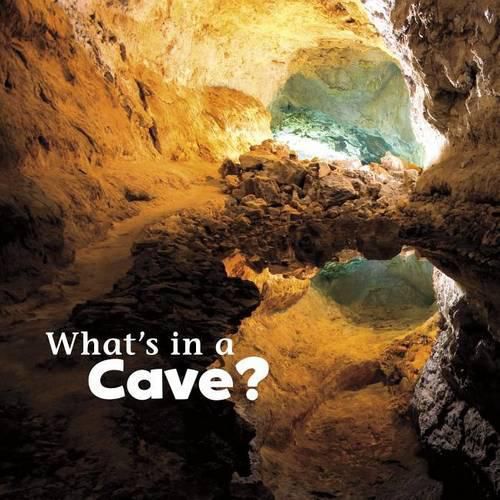 Cover image for Whats in a Cave?