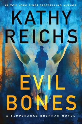 Cover image for Evil Bones