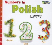 Cover image for Numbers in Polish: Liczby