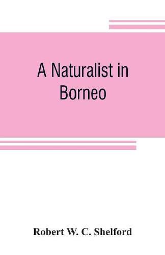 Cover image for A naturalist in Borneo