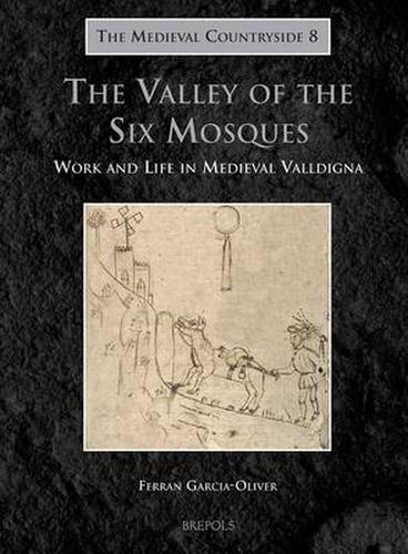 Cover image for The Valley of the Six Mosques: Work and Life in Medieval Valldigna