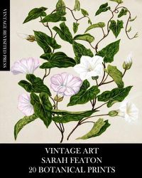 Cover image for Vintage Art: Sarah Featon 20 Botanical Prints