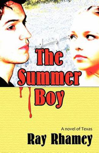 Cover image for The Summer Boy