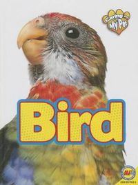 Cover image for Bird