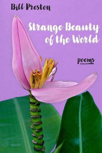 Cover image for Strange Beauty of the World: Poems