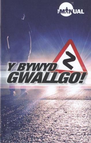 Cover image for Bywyd Gwallgo!, Y