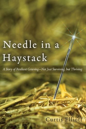Cover image for Needle in a Haystack