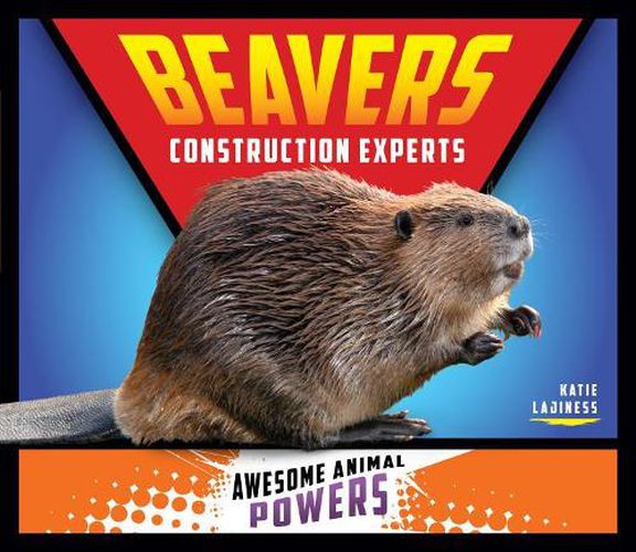 Beavers: Construction Experts