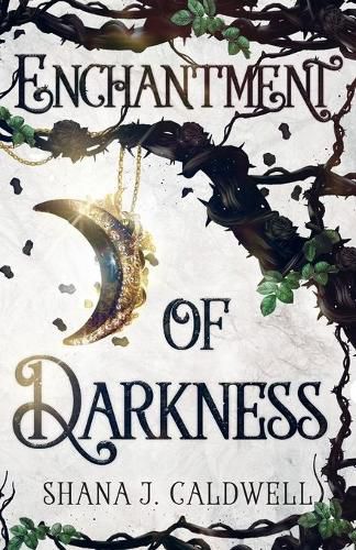 Cover image for Enchantment of Darkness