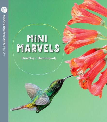 Cover image for Mini Marvels: Oxford Level 9: Pack of 6