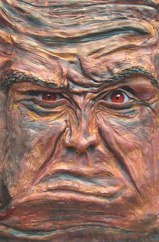 Cover image for The Enchanted Land