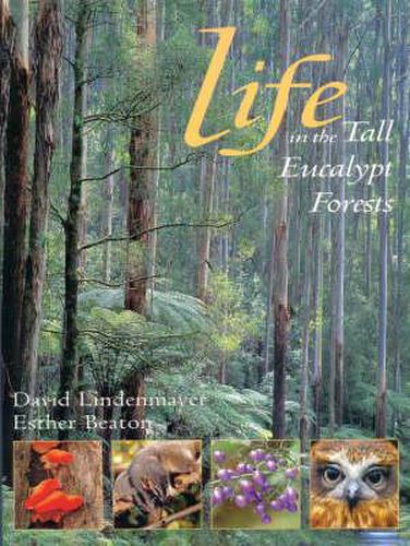 Life in the Tall Eucalypt Forests