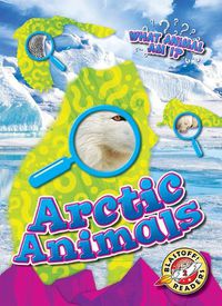 Cover image for Arctic Animals