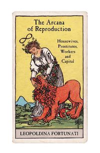 Cover image for The Arcana of Reproduction