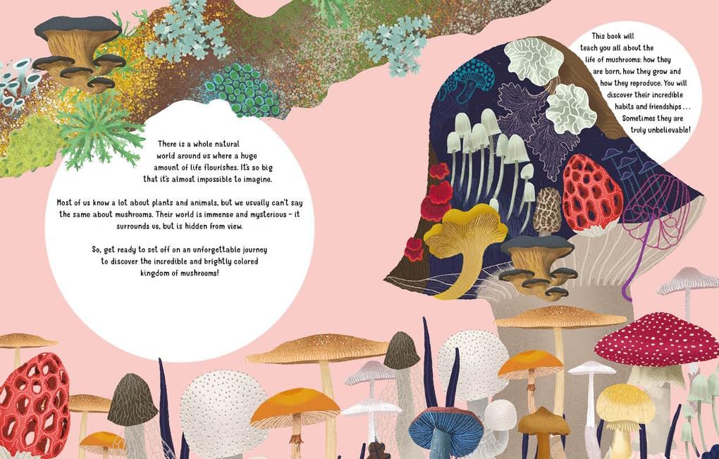 The Secrets of Mushrooms