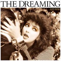 Cover image for Dreaming ***vinyl