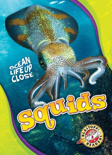 Squids