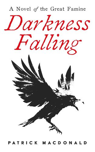 Cover image for Darkness Falling: A Novel of the Great Famine