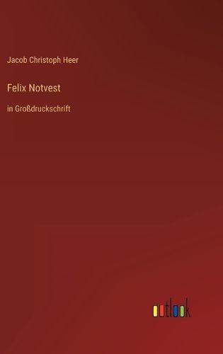 Cover image for Felix Notvest