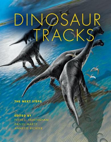 Dinosaur Tracks: The Next Steps