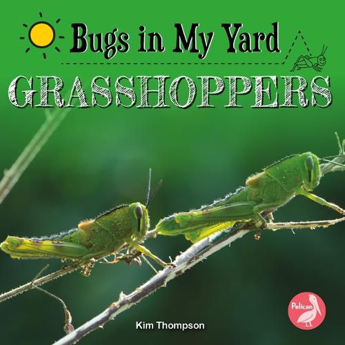 Grasshoppers