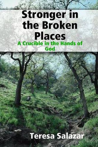 Cover image for Stronger in the Broken Places