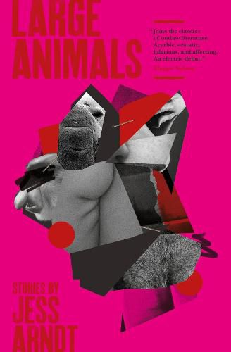 Cover image for Large Animals