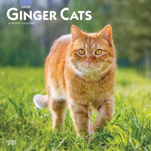 Ginger Cats 2020 Square Wall Calendar