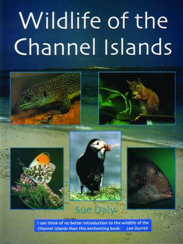 Cover image for Wildlife of the Channel Islands