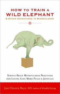 Cover image for How to Train a Wild Elephant: And Other Adventures in Mindfulness