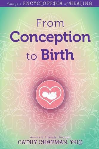 Cover image for From Conception to Birth