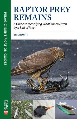 Cover image for Raptor Prey Remains: A Guide to Identifying What's Been Eaten by a Bird of Prey